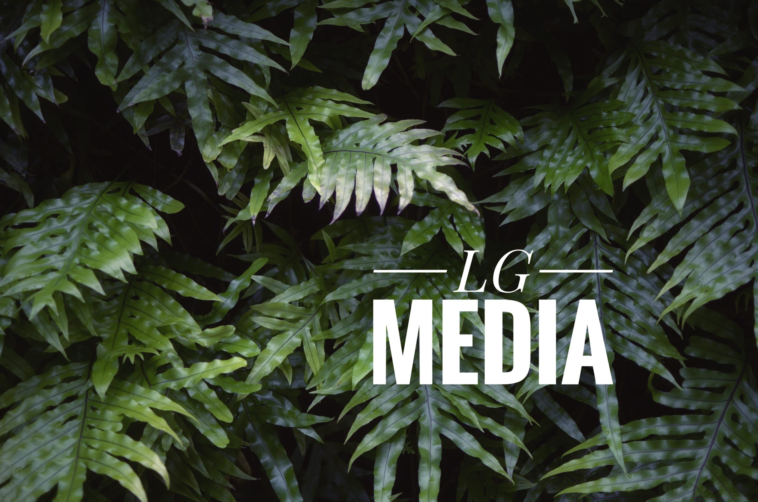LG Media scaled