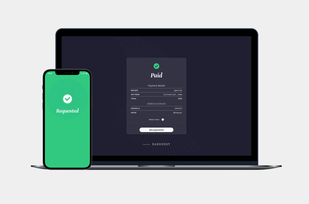 earnnest section copy