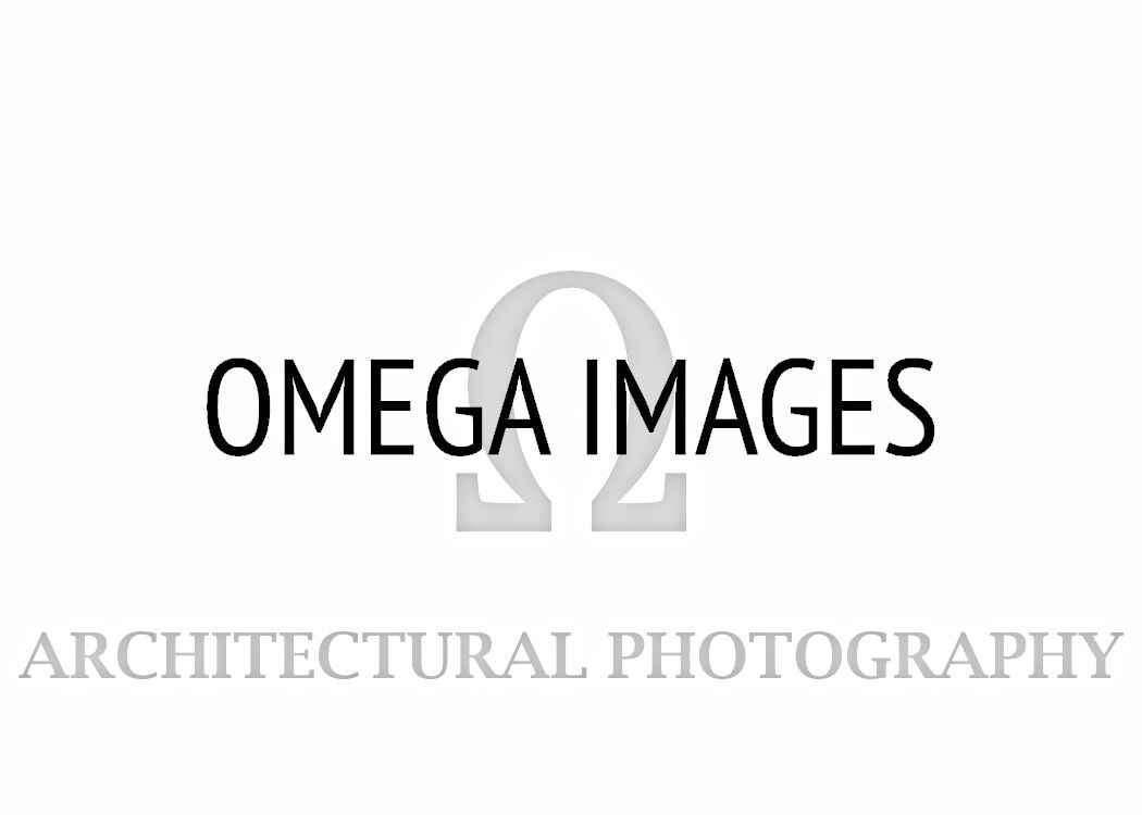 New Omega Logo White preview