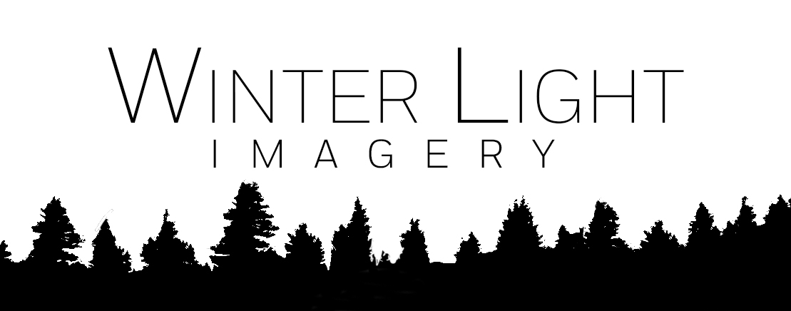 Winter Light Imagery LOGO